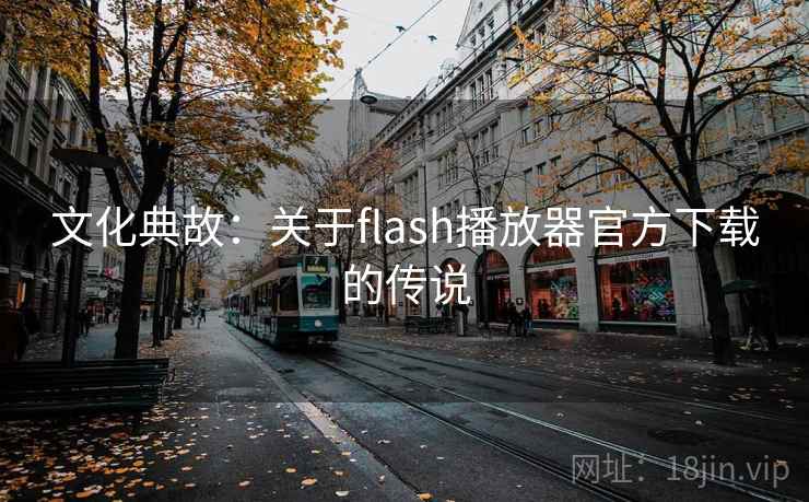 文化典故：关于flash播放器官方下载的传说